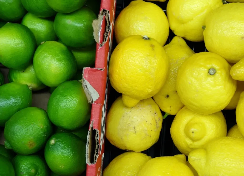 Ordu diyetisyen önerisi: limon